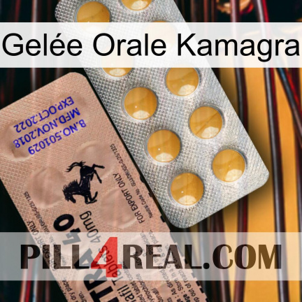 Gelée Orale Kamagra 41